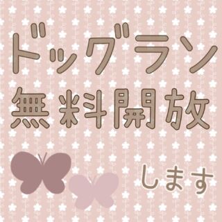 公式 ホテル サロン ぴここ 釧路市 ペットホテル ペットサロン 安心 安全 生き活き